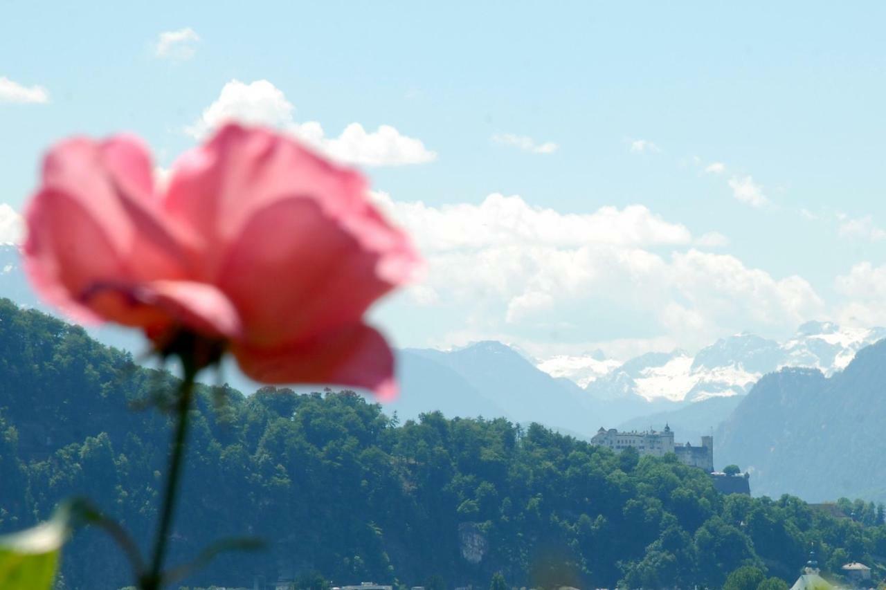 Haus Salzburgblick Bed & Breakfast Bagian luar foto